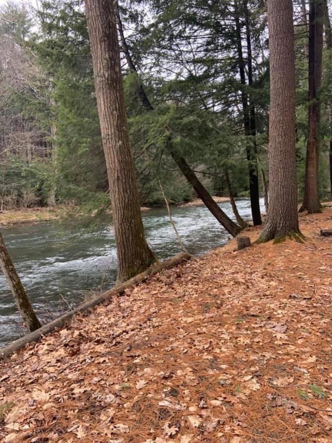Pine Creek Motel & Campsites Gaines Экстерьер фото